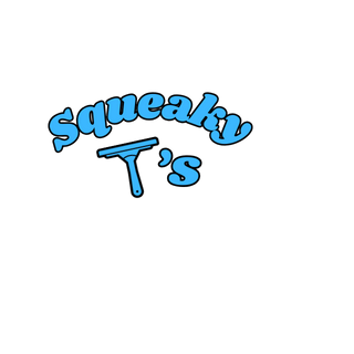 Squeaky T's Window Cleaning